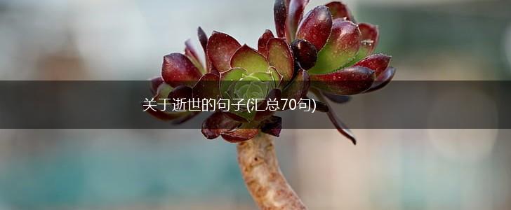关于逝世的句子(汇总70句),第1张