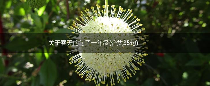 关于春天的句子一年级(合集35句),第1张