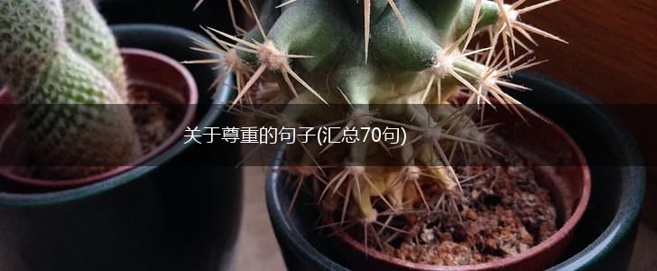 关于尊重的句子(汇总70句),第1张