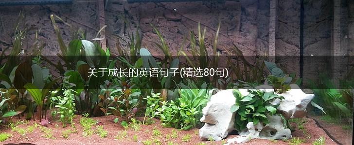 关于成长的英语句子(精选80句),第1张