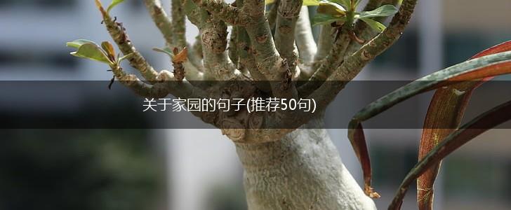 关于家园的句子(推荐50句),第1张
