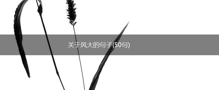 关于风大的句子(50句),第1张