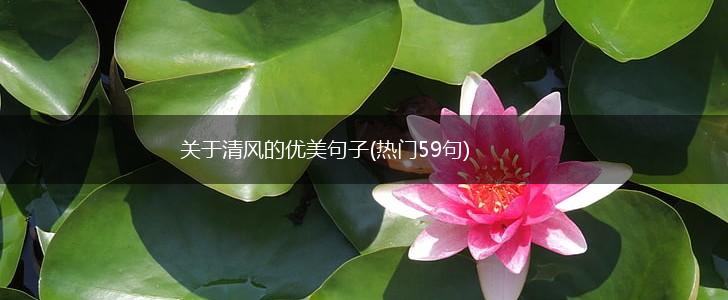 关于清风的优美句子(热门59句),第1张