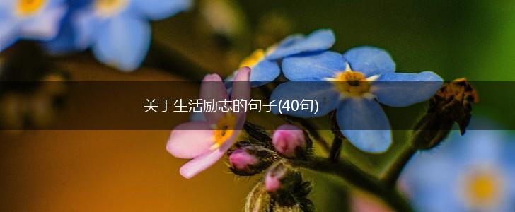 关于生活励志的句子(40句),第1张