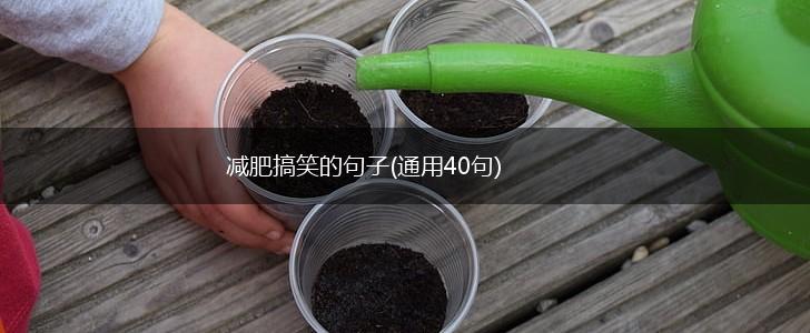 减肥搞笑的句子(通用40句),第1张