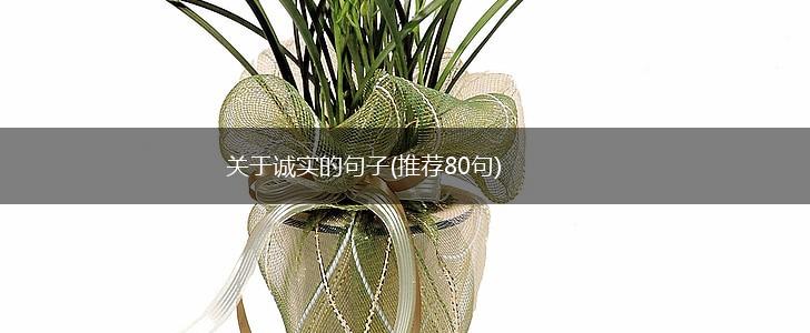 关于诚实的句子(推荐80句),第1张