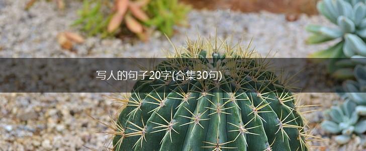 写人的句子20字(合集30句),第1张