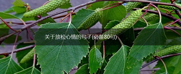 关于放松心情的句子(必备80句),第1张