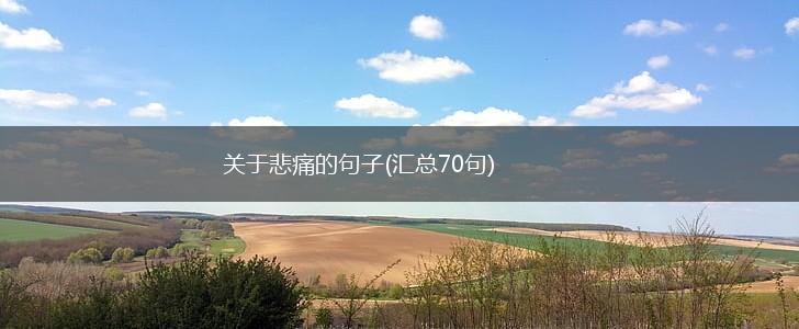 关于悲痛的句子(汇总70句),第1张