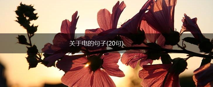 关于电的句子(20句),第1张