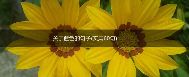 关于蓝色的句子(实用60句),第1张