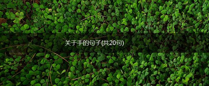 关于手的句子(共20句),第1张