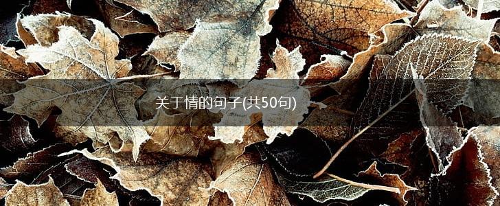 关于情的句子(共50句),第1张