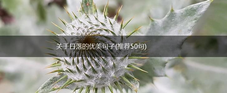 关于日落的优美句子(推荐50句),第1张