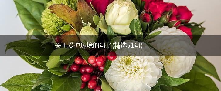 关于爱护环境的句子(精选51句),第1张