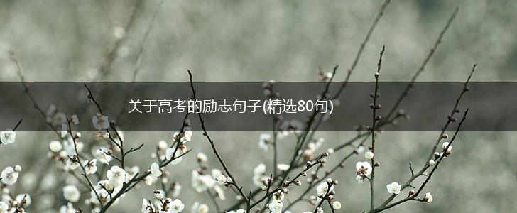 关于高考的励志句子(精选80句),第1张