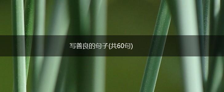 写善良的句子(共60句),第1张