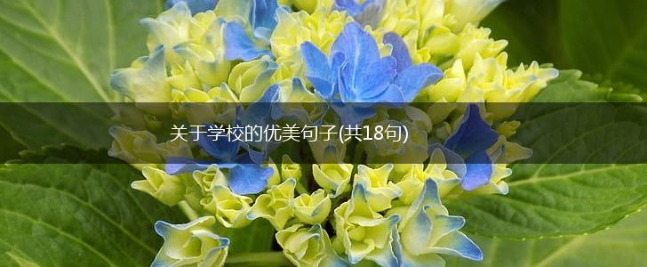 关于学校的优美句子(共18句),第1张