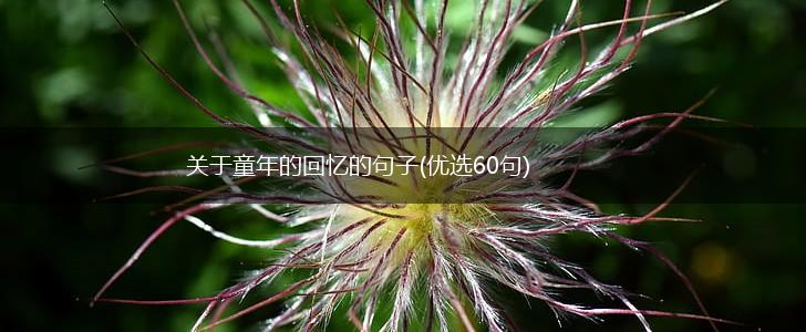 关于童年的回忆的句子(优选60句),第1张