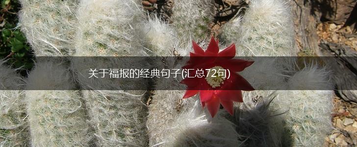 关于福报的经典句子(汇总72句),第1张