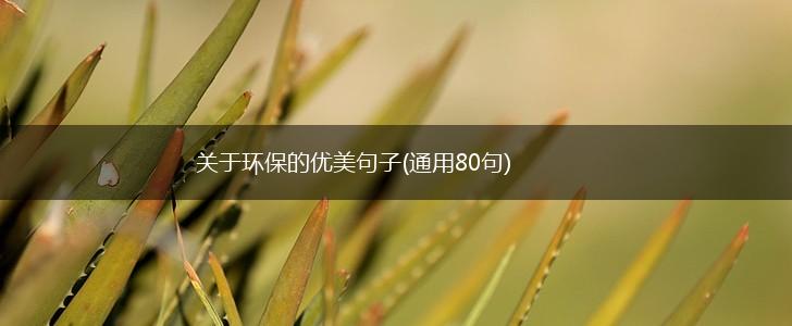 关于环保的优美句子(通用80句),第1张
