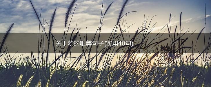 关于梦的唯美句子(实用40句),第1张