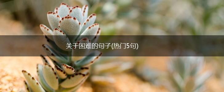 关于困难的句子(热门5句),第1张