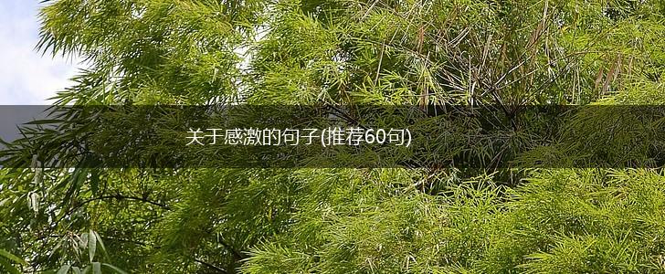 关于感激的句子(推荐60句),第1张