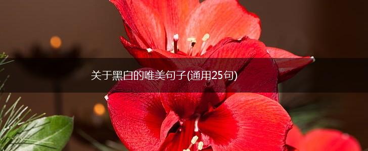关于黑白的唯美句子(通用25句),第1张