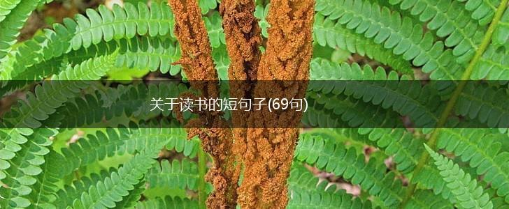 关于读书的短句子(69句),第1张
