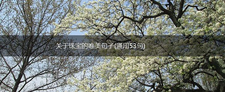 关于珠宝的唯美句子(通用53句),第1张