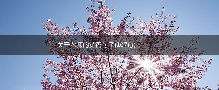 关于老师的英语句子(107句),第1张