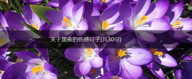 关于黑夜的伤感句子(共30句),第1张