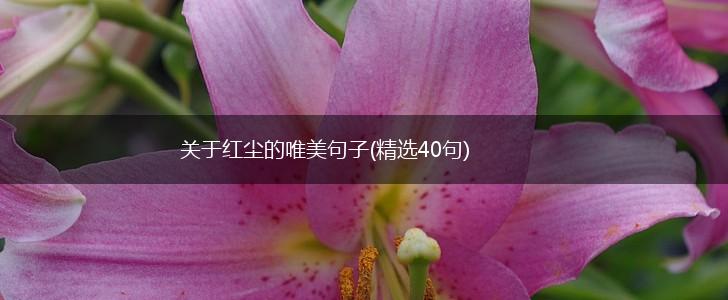 关于红尘的唯美句子(精选40句),第1张