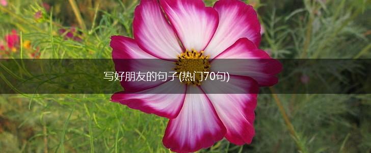 写好朋友的句子(热门70句),第1张