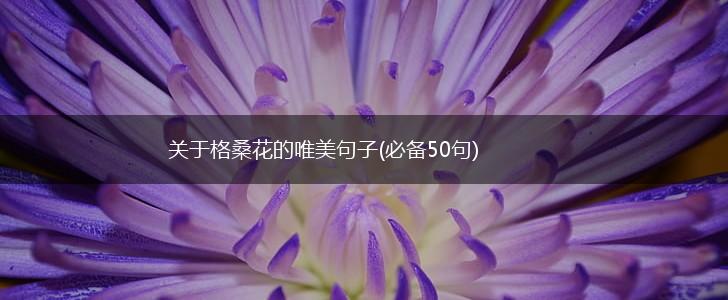 关于格桑花的唯美句子(必备50句),第1张
