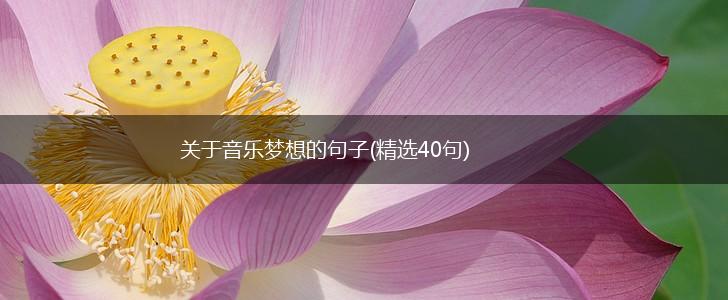 关于音乐梦想的句子(精选40句),第1张