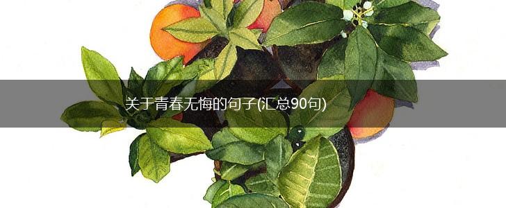 关于青春无悔的句子(汇总90句),第1张