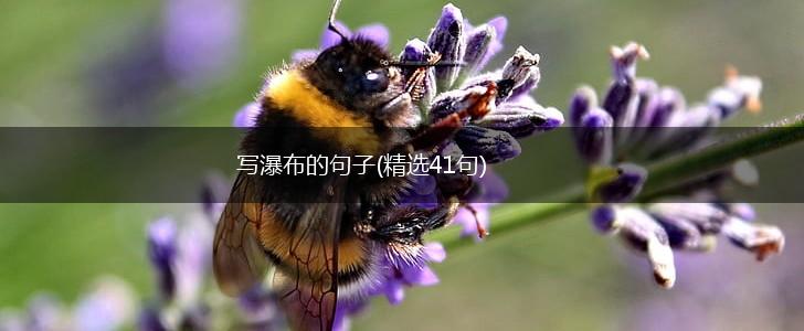 写瀑布的句子(精选41句),第1张