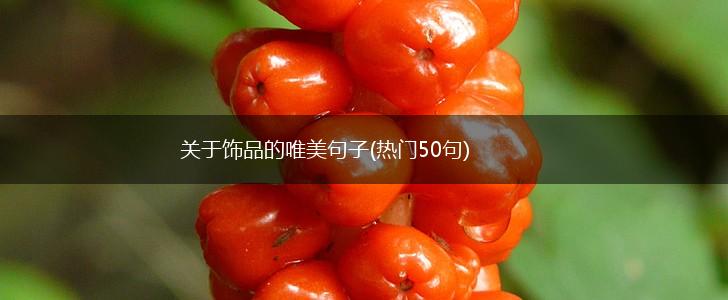 关于饰品的唯美句子(热门50句),第1张