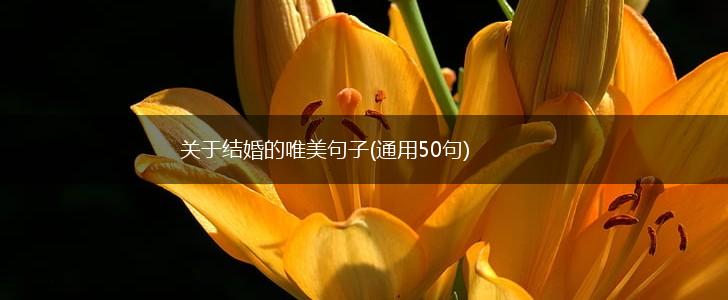 关于结婚的唯美句子(通用50句),第1张