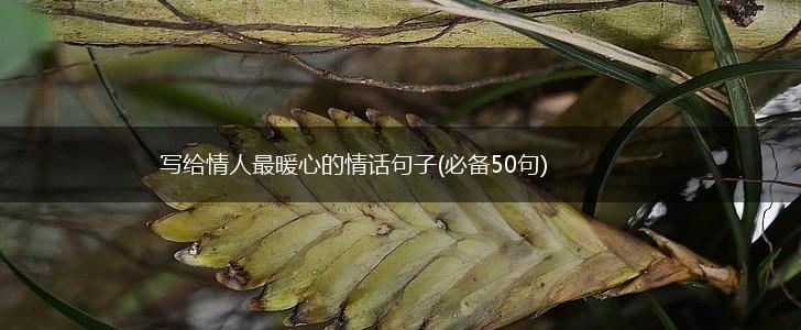 写给情人最暖心的情话句子(必备50句),第1张