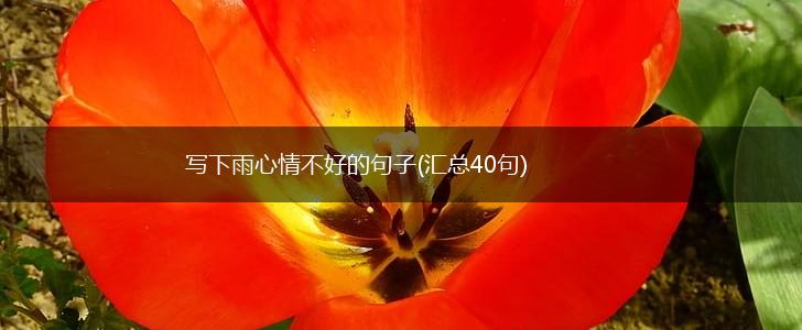写下雨心情不好的句子(汇总40句),第1张