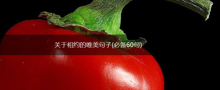关于相约的唯美句子(必备60句),第1张