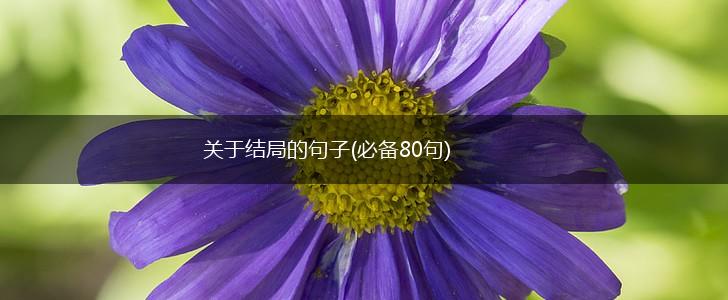 关于结局的句子(必备80句),第1张