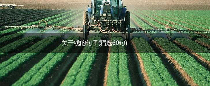 关于钱的句子(精选60句),第1张