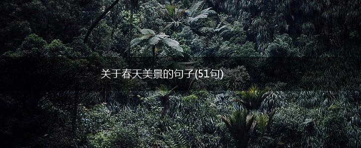 关于春天美景的句子(51句),第1张