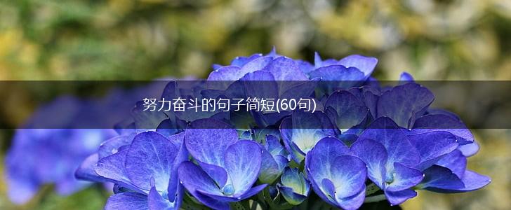 努力奋斗的句子简短(60句),第1张
