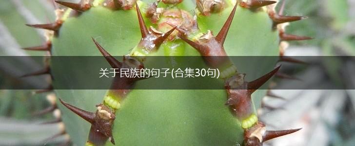 关于民族的句子(合集30句),第1张