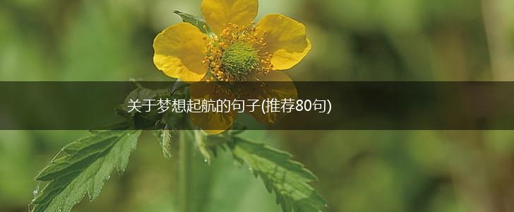 关于梦想起航的句子(推荐80句),第1张